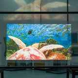 nanoptic front projection transparent display photonic film screen