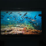 nanoptic home ambient light rejection projection screen